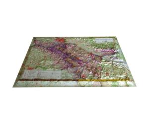 Carte murale en relief - Vignobles de l'Anjou - 61 cm x 41 cm | 3D Map