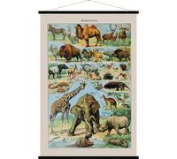Carte murale - Mammifères (style vintage) - 84 x 123 cm | Blue Shaker