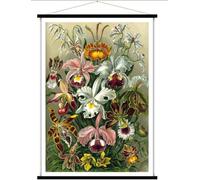Carte murale - Orchidées (style vintage) - 84 x 113 cm | Blue Shaker