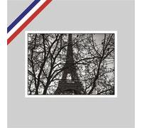 Carte Peter Turnley - La Tour Eiffel, Paris, 2021 G