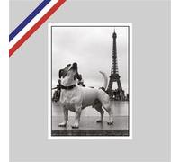 Carte Peter Turnley - Le Trocadéro, Paris, 2014 G