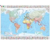 Michelin Carte plastifiée Le Monde – roule – 13702