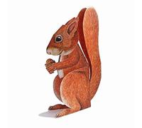 Carte POP-UP "Écureuil avec noisette D-card 3: une fois D'un motif Écureuil avec noisette-sweet and dinky Idéal pour les amoureux des animaux!