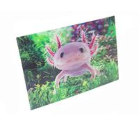 Carte postale 3D Axolotl - Carte postale animée - Carte hologramme - Animaux aquatiques