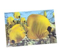Carte postale 3D avec hologramme - Motif poisson - Animal aquatique