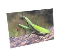 Carte postale animée 3D avec hologramme