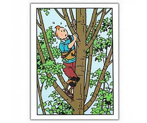 Carte postale double Moulinsart Tintin, dans l'arbre (12,5x17,5cm)