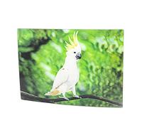 Carte postale humoristique 3 D avec inscription en allemand"Tier" Motif oiseaux/perroquet