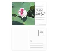 Carte postale Little Lotus Summer Sunshine pour anniversaire de mariage