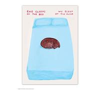 Carte postale officielle David Shrigley - « She Sleeps On The Bed » - Cartes postales amusantes - Art de David Shrigley - Impression A6 - Carte postale artistique - Amoureux des chiens