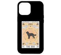 Carte Tarot Le Chien Hovawart Céleste Galaxie Coque pour iPhone 12 Pro Max