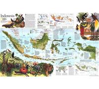 Carte thématique de l'Indonésie de 1996