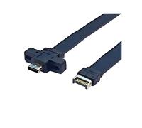 Carte USB3.2 Gen2x2 Ligne Type-E Terminal Type-C Avant C Mère 10G/20Gbps Fil Plat 30cm