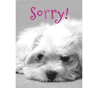 Carte vierge vierge - 80 x 110 mm - Piccadilly Greetings