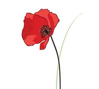 Carte vierge vierge - 80 x 110 mm - Piccadilly Greetings