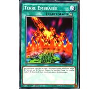 Carte Yu-Gi-Oh Ygld-Fra31 Terre Embrasée Neuf Fr