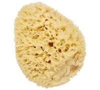 Cartel By Vitry Eponge De Mer Naturelle 14cm