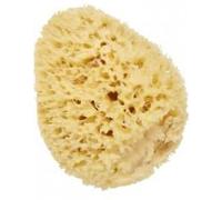 Cartel By Vitry Eponge De Mer Naturelle 14cm