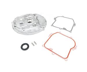 Carter Briggs et Stratton - 594101