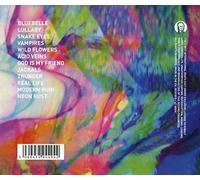 Carter, F: Modern Ruin by Carter, Frank & The Rattlesnakes [Audio CD] NEUF