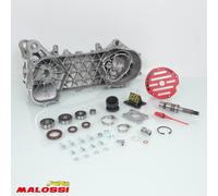 Carter Moteur Malossi Pour Scooter Aprilia 50 Sr Racing Lc 5716668 / Mhr Rc-One 94cc Neuf