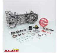 Carter moteur Malossi pour scooter MBK 50 Nitro 5716668 / MHR RC-One