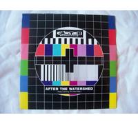 Carter the Unstoppable Sex Machine - CARTER USM After The Watershed UK 7" 45