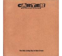 Carter The Unstoppable Sex Machine - The Only Living Boy in New Cross/Panic [Import]