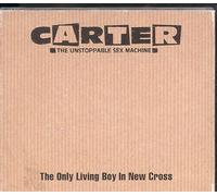 Carter Usm - Only Living Boy in New Cross