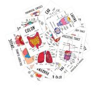 Cartes d'Anatomie Humaine 30 Pièces Format Poche Aide Aux Débutants | Cartes Schémas De Terminologie Anatomique Pour Lycée Université Routine Quotidienne Révision