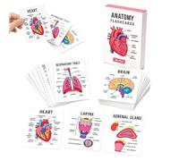 Cartes D'Anatomie Pour Étudiants 30 Pièces Format Poche Aide Aux Débutants | Cartes Schémas De Terminologie Anatomique Pour Lycée Université Routine Quotidienne Révision