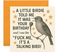 Cartes d'anniversaire amusantes pour homme et femme, blague d'oiseau parlant grossier, coquin et coquin, cadeau d'anniversaire hilarant pour papa, maman, mari, épouse, sœur, frère, meilleur ami, fils