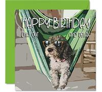 Cartes d'anniversaire amusantes pour homme et femme - Motif chien cool - Carte d'anniversaire pour le travail, collègue, ami, frère, sœur, maman, papa, fils, fille, grand-père, 145 mm x 145 mm