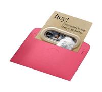 Cartes d'anniversaire chat - Spécifications 25 cm x 18 cm, composant de vœux ludique intégré, fonction de papeterie pliable, finition colorée | Cadeau pour les amoureux des chats, collègue et petit am
