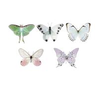 Cartes de marque-pages PET transparentes, C | Ensemble de marquage de page de 5 pièces, accessoires de lecture légers, accent de journal de nature