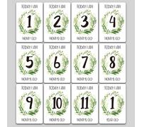 Cartes De Partage De Photo De Jalon 12 Feuilles Ensemble Cadeau Cartes D'âge De Bébé-Cartes De Jalon De Bébé, Cartes De Photo De Bébé-Photo De Nouveau-Né