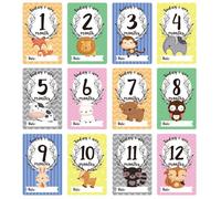 Cartes De Partage De Photos De Jalons, Ensemble Cadeau De Cartes De Bébé, De Bébé, De Nouveau-Né, 12 Feuilles