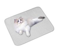 Cartes De Refroidissement Pour Chiens - Tapis De Cool Pour Animaux De Compagnie | Silk Ice Bredding Portable Refloding Dog Lit | Coussin De Refroidissement Self | Pad Gel Solide Non toxique | Coussin