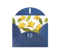 Cartes de vœux en papier nacré bleu YYHHAOFA 10,2 x 15,2 cm Motif carambole étoile à cinq branches pour Noël, anniversaire, anniversaire de mariage et invitations de fête