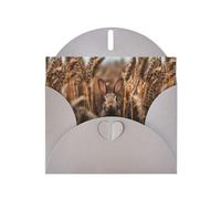 Cartes de vœux en papier nacré gris 10,2 x 15,2 cm YYHHAOFA Little Rabbit in the wheat field - Cartes de vœux pour Noël, anniversaire, anniversaire de mariage et invitations de fête