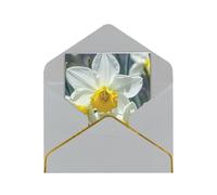 Cartes de vœux vierges 17,5 x 11,5 cm - Motif fleurs de narcisse - Cartes de vœux vierges avec enveloppes - Carte de remerciement vierge pour toutes les occasions