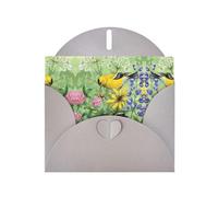 Cartes de vœux vierges à motif chardonneret américain pour anniversaires, Saint-Valentin, fêtes, mariages, 10,2 x 15,2 cm, enveloppe grise