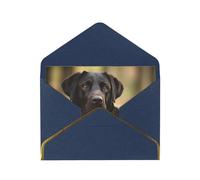 Cartes de vœux vierges avec enveloppes - Motif chien labrador - Cartes d'anniversaire - Cartes de remerciement - Cartes d'invitation pour fête de mariage - Pour toutes les occasions