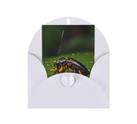 Cartes de vœux vierges Insects on Leaves - Cartes de remerciement et enveloppes - 10,2 x 15,2 cm - Pour mariage, fête prénatale, fête.