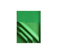 Cartes Dozio - Papier Calque Vert gazon - 50 feuilles à conf. - F. to cm 76 x 100 - 21 gr/m²