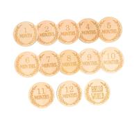 Cartes Étapes Bébé en Bois 13 Pièces Disque Couleur Khaki | Surface Lisse, Lot de 13, Forme Disque, pour Garçon et Filles et Nourrisson, Style Créatif