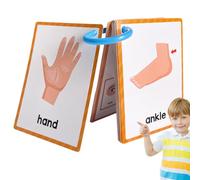 Cartes flash parties du corps, design de poche de vocabulaire anglais, 11 x 8 x 5 cm, cartes éducatives préscolaires, cartes éducatives préscolaires, correspondance d' claires, pour l'école