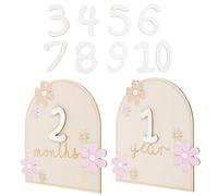 Cartes Mensuelles Bébé en Bois 1 Set, Disques Décoratifs