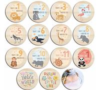 Cartes mensuelles pour bébé fille ou garçon, panneau mensuel pour nouveau-né, cartes d'anniversaire de bébé, cartes de fête prénatale livrées avec un sac cadeau en organza (cercles en bois)