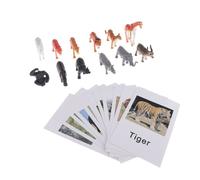 Cartes Nominatives Pour Enfants, Jouet Éducatif, Modèle De Groupe D'Animaux Sauvages, Pour L'Éducation Montessori